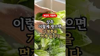 상추 이렇게 씻으면 기생충 먹게 됩니다 #건강정보 #건강한루틴 #상추씻는법