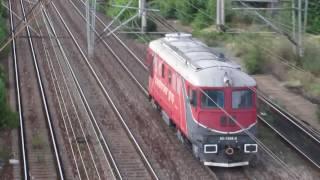 Romania: Carpati (north Bucharest), Transferoviar Grup class 60 diesel loco (60-1568) passing