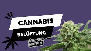 Cannabis Belüftungssystem, Homegrow, Howtogrow