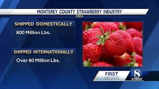 Trump’s tariffs may threaten Central Coast berry exports