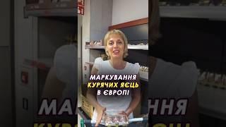  Маркування курячих яєць в Європі #іспанія #яйця #курячіяйця #маркування #маркуванняяєць #екояйця