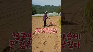 콩 심는 농부 마음 #고양이를_낳은_농부#시골고양이 #콩심는기계#농부의일상