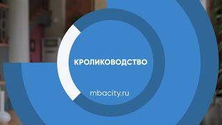 Курс обучения "Кролиководство"