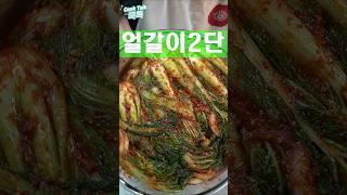 앉은 그자리에서 1단은 먹은것 같습니다 #얼갈이 #김치 #레시피