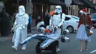 Dogs Cats Dress Up For Holiday Pet Parade In San Diego