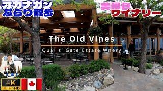 Beautiful Canadian winery restaurant: Quails' Gate Estate Winery, Kelowna, Okanagan, Canada