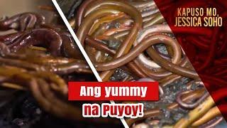 Nakakain na ba kayo ng puyoy? | Kapuso Mo, Jessica Soho