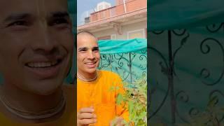 Tulsi ki growth kaise badhaye #tulsi #facts #shorts