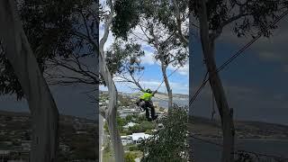 TASMANIAN TREE CARE