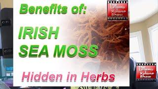 Benefits of Irish sea moss