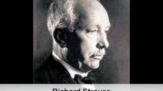 Richard Strauss: Symphony for Wind Instruments "The Happy Workshop" - Menuet (III)