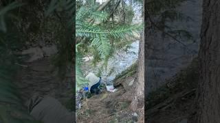  Nature & Innovation – Our Products in the Heart of Switzerland! 