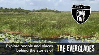 Florida Road Trip | The Everglades