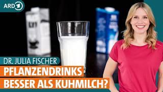 Besser als Milch? So gesund sind Hafermilch, Mandelmilch und Co. | Dr. Julia Fischer | ARD Gesund