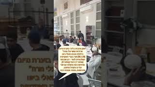 הילולת בבא סאלי: בוגרי האקדמיה המלכותית לעוד - ינון שבתאי (מחזור 1) ויובל (מחזור 9) מחזיקים את החפלה