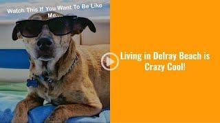 Real Estate Agent in Delray Beach