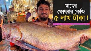 মাছের ফোৎনার কেজি ৫ লাখ টাকা! | Fish | Fish Market | RB Talks