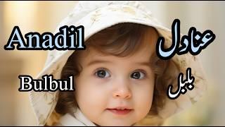 Stylish Muslim Baby Girl Names with Meaning/#muslimnames