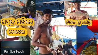 ଚିଲିକା ମଝି ସମୁଦ୍ର ରେ ପଡିଲା ବଡ଼ ଠୁର ମାଛ | ରାତି ରେ ସମୁଦ୍ର ଭିତରୁ ପୁରୀ beach ଟ୍ରଲର ରେ ରୋଷେଇ କେମିତି ହୁଏ ?