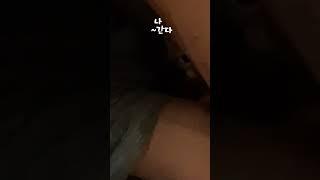 살고 볼 일이다 #농부고양이집사 #아기냥 #농부의일상 #시골고양이