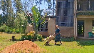How to build a homestead from scratch | Life in the Countryside