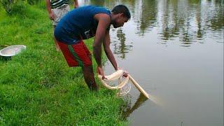 Net Fishing | Lot Of Big Fish Hunting By Cast Net | Net Fishing in The Village (Part-194)