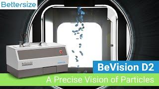 BeVision D2 | A Precise Vision of Particles
