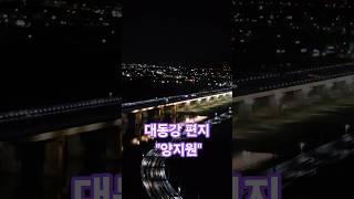 대동강편지 #양지원      #나훈아 원곡  #낙동강 하구야경