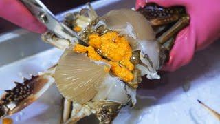 알 꽈~악 찬 꽃게 1초면 구별 가능합니다! /A crab that is full of eggs, you can distinguish it in 3 seconds! /seefood