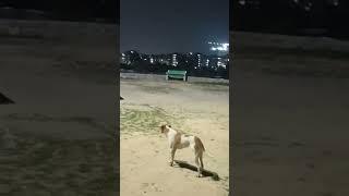 night view#views_viral_video_subscribers_grow #viralreels #viralreels #nightview