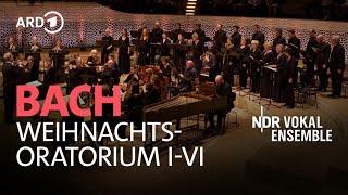 J.S. Bach: Weihnachtsoratorium I-VI | Akademie für Alte Musik Berlin | NDR Vokalensemble