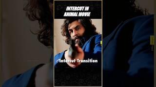 Intercut Transition In Animal Movie | Ranbir Kapoor, Sandeep Reddy Vanga, Salaar | Infini Feed |