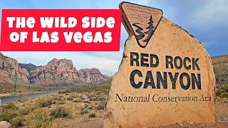 A DaY at ReD RoCK CaNYoN National Conservation Area NV #nevada #redrockcanyon #lasvegas