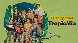 Tropicália, ¿reivindicación del malinchismo? | Breve historia del tropicalismo (y del mundo)