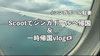 【シンガポール駐妻】Scootで一時帰国/購入品/シンガポール生活/駐在妻