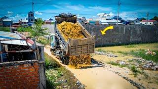 NEW PROJECT! Rebuild Road To Landfill on Flooded Area by Dozer KOMATSU D20P & 5T Truck Pushing Stone