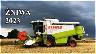 Żniwa Pszenicy 2023 | Claas Lexion 430 | Steyr Absolut 6185 | Pronar T672