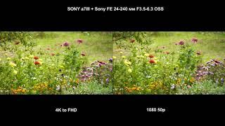 flower test.4K to FHD vs FHD 50p