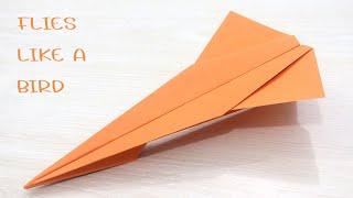 How to Make a Paper Airplane that Flies Like a Bird