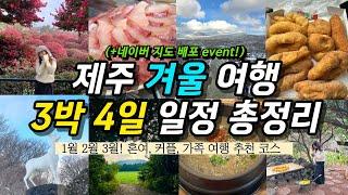 따라만 해도 성공 제주도 겨울 3박 4일 여행 코스(+주의할 점) | 맛집, 카페, 관광지, 핫플, 제주도 렌트카, 카모아 l 1월 2월 3월 제주 가볼만한 곳️