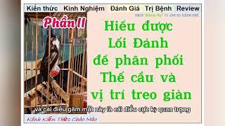 Cách để hiểu được Chiến binh chào mào của mình như thế nào? Nhất Tiến Lập giải đáp