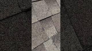 What Hail Damage Looks Like On A Roof