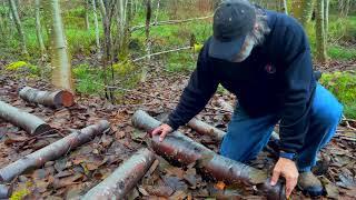 Mycelium Raft