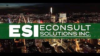 Econsult Solutions, Inc. Overview