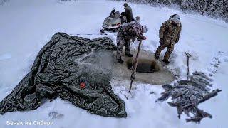 Дед был в шоке от нашего улова на сети и хапуги! Таежные приключения (часть 2)