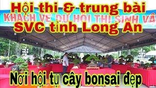 Hội thi bonsai Long An