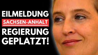 EILMELDUNG: REGIERUNG IN SACHSEN-ANHALT GEPLATZT! AfD LÄSST ALTPARTEIEN AUFFLIEGEN!