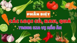 PHÂN BIỆT CÁC LOẠI CỦ, RAU, QUẢ TRONG GIA VỊ NẤU ĂN: CỦ HÀNH, CỦ TỎI, CỦ GỪNG, CỦ SẢ...| SỨA  TV