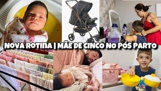 5 ° DIA PÓS CESÁRIA | DEI BANHO DE PICÃO | LAVEI ROUPA | COMPREI UM CARRINHO DE BEBÊ