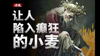 小麦的恶魔双胞胎：被嫌弃的毒麦的一生